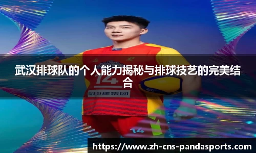 武汉排球队的个人能力揭秘与排球技艺的完美结合